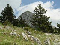 2026-05-31 Monti Tino e Faito 272
